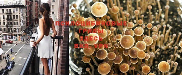 тгк Нижневартовск