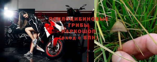 apvp Кострома